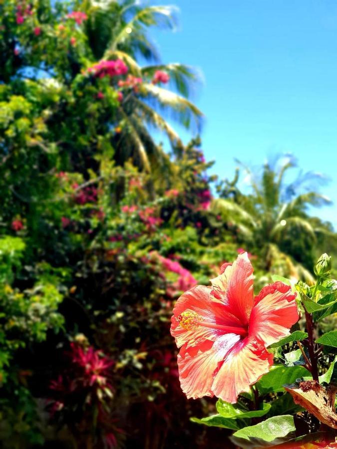 La Vieille Sucrerie: Caribbean View Spa Retreat Basse-Terre Exterior photo